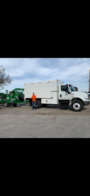 Tree Equipment for Tree Removal and Tree Pruning and Tree disposal